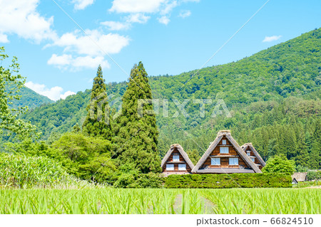 Early summer Shirakawa-go (daytime) Early summer Shirakawa-go (daytime) 66824510