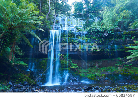 Russell Falls in Tasmania 66824597