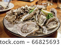 New Zealand Greenshell Mussels. 66825693