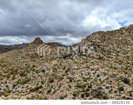 Aerial view of Joshua Tree National Park. USA 66826130