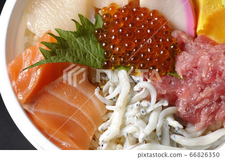 鮭魚,白鮭,扇貝,鮭魚子和金槍魚海鮮碗 鮭魚,白鮭,扇貝,鮭魚子和金槍魚海鮮碗 66826350