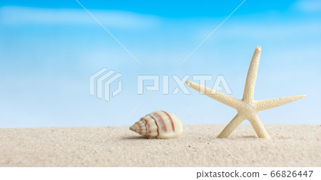 Closeup starfish and seashell on white sand beach with blurred blue sea background Closeup starfish and seashell on white sand beach with blurred blue sea background 66826447