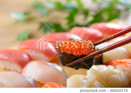 sushi sushi 66826576