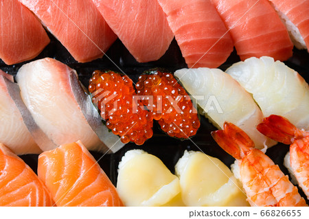 sushi sushi 66826655