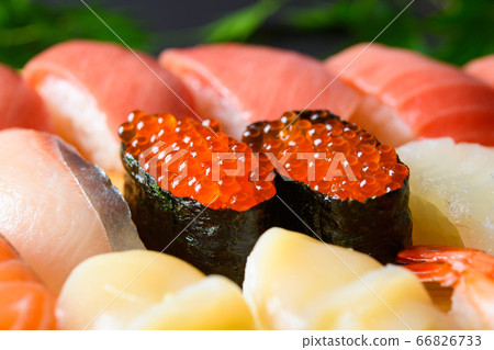 壽司 壽司 66826733