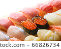 sushi  66826734