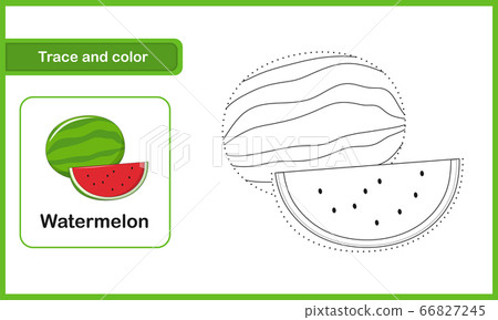 drawing and vocabulary worksheet trace and colour stock illustration 66827245 pixta