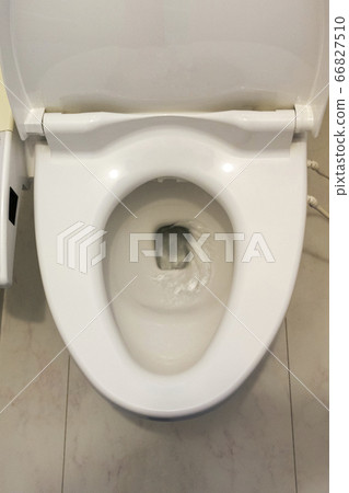 Toilet seat in flush toilet 66827510