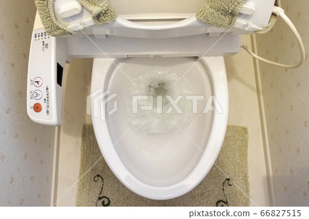 Flush the toilet 66827515