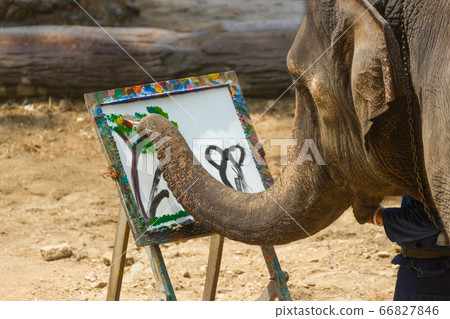 Elephant drawing flowers Thailand Elephant Conservation Center Charles Griffin has been exhibited in various applications. Elephant drawing flowers Thailand Elephant Conservation Center Charles Griffin has been exhibited in various applications. 66827846