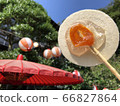 Summer festival apricot candy that shines in the blue sky 66827864