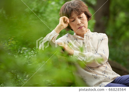 Senior walking in the park 66828564