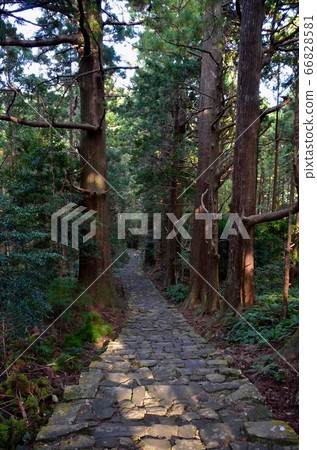 Kumano Kodo 66828581