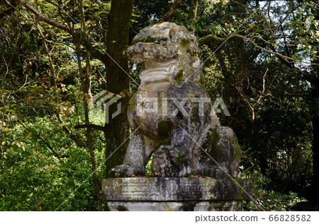 獅子守護犬,美國神社 獅子守護犬,美國神社 66828582