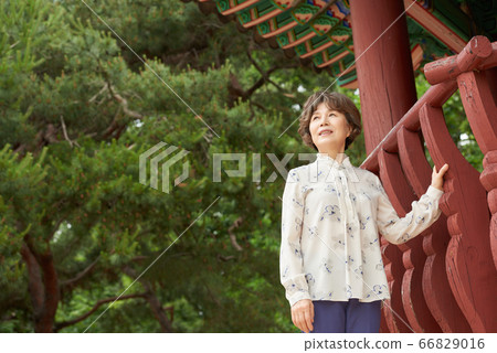 Senior walking 66829016