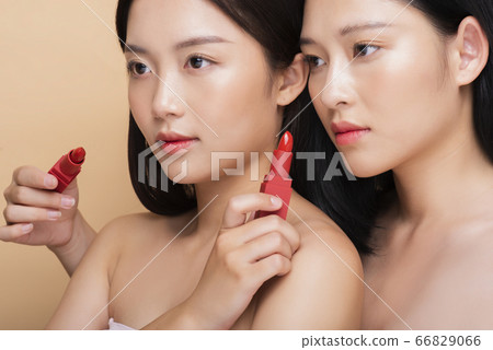 模型組合的美感形象 66829066