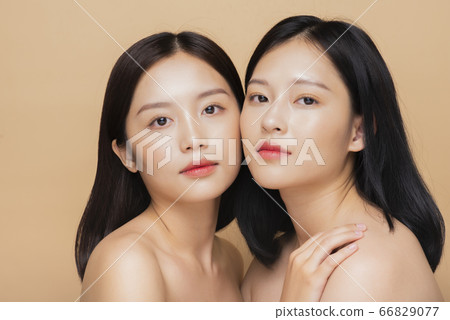 模型組合的美感形象 66829077