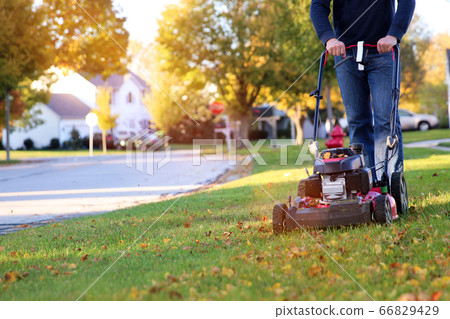 Mowing the grass with a lawn mower in sunny autumn. Gardener cuts the lawn in the garden 66829429