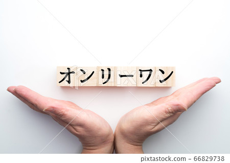 Image only one Image only one 66829738
