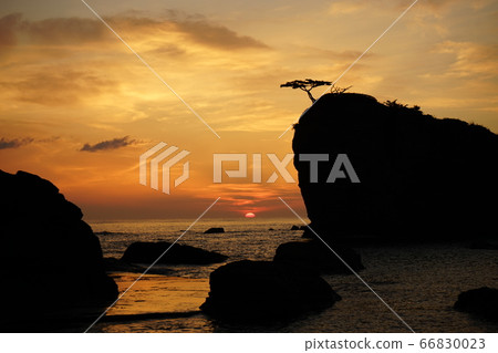 重島之松島重島海岸的三陸地質公園黎明 重島之松島重島海岸的三陸地質公園黎明 66830023
