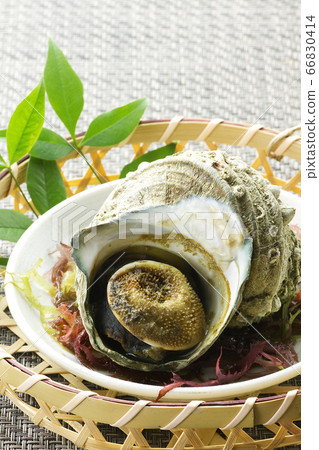 Sazae no Tsubaki 16 66830414