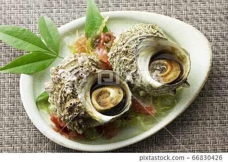 Sazae urn pot 21 66830426