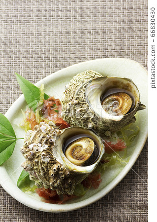 Sazae urn pot 23 66830430