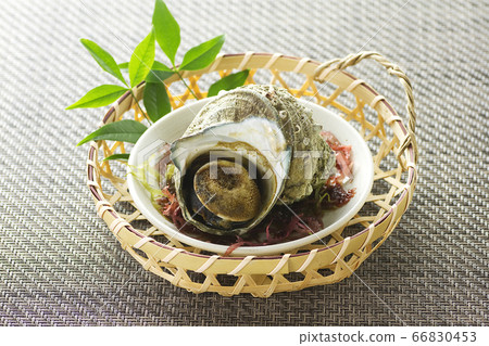 Sazae pot ware 8 Sazae pot ware 8 66830453