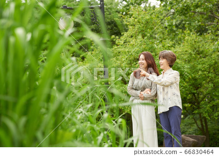 母親和女兒走 66830464