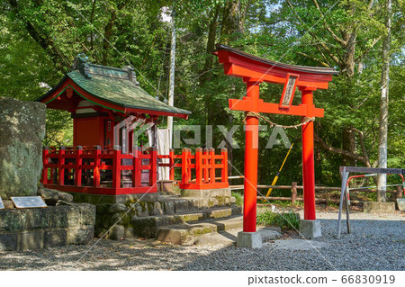 Mountain palace of Saruhashi of fresh green 66830919