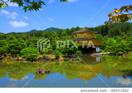 京都北區金閣寺的風景，金閣寺和綠色植物[6月] 66831082
