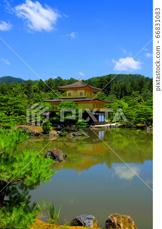 京都北區金閣寺的風景，金閣寺和綠色植物[6月] 66831083