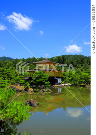 京都北區金閣寺的風景，金閣寺和綠色植物[6月] 66831084