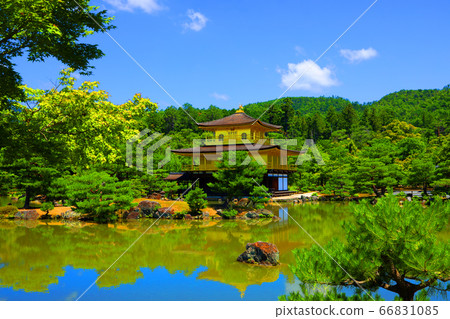京都北區金閣寺的風景，金閣寺和綠色植物[6月] 66831085