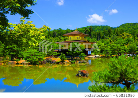 Scenery of Kinkakuji Temple in Kita-ku, Kyoto, Kinkakuji Temple and greenery [June] 66831086