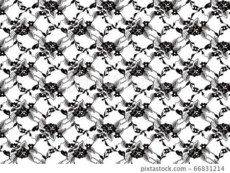 Seamless lace pattern 66831214