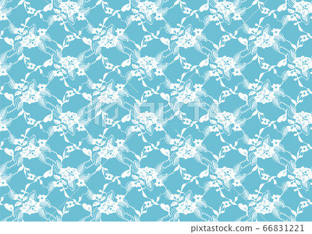 Seamless white lace pattern 66831221