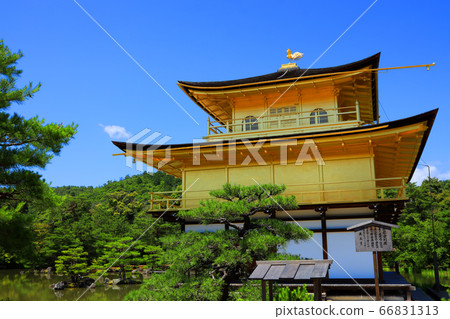 Scenery of Kinkakuji Temple in Kita-ku, Kyoto, Kinkakuji Temple and greenery [June] 66831313