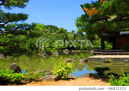 京都市北區區金閣寺的風景，金閣寺的蘆原島[6月] 66831323