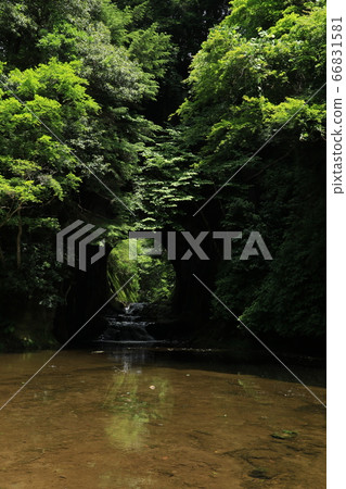 Boso半島的Nomizo瀑布和Kameiwa洞穴 Boso半島的Nomizo瀑布和Kameiwa洞穴 66831581