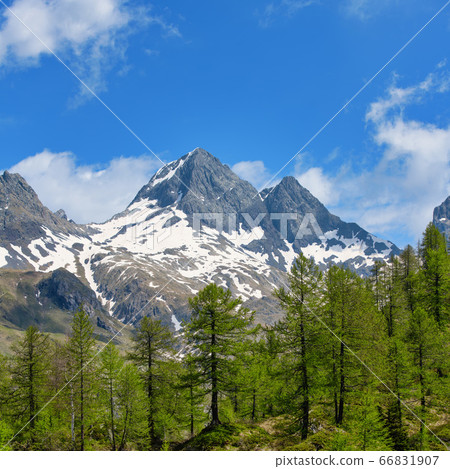 The mountain of the Diavolo di Tenda on the Orobie The mountain of the Diavolo di Tenda on the Orobie 66831907