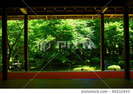 京都市左京區Enkoji寺的風景，Enkoji寺附近的日本庭園[6月] 66832643