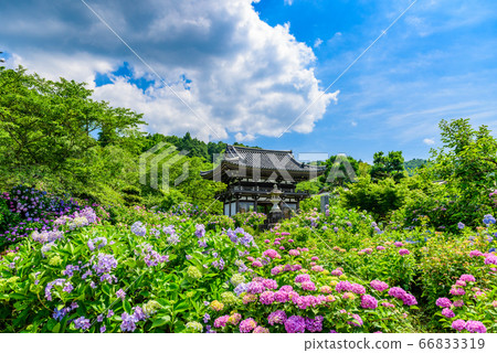 Kyoto Prefecture / Danshu Kannon Temple 66833319