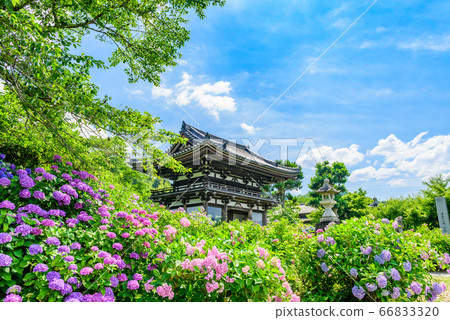 Kyoto Prefecture / Danshu Kannon Temple 66833320