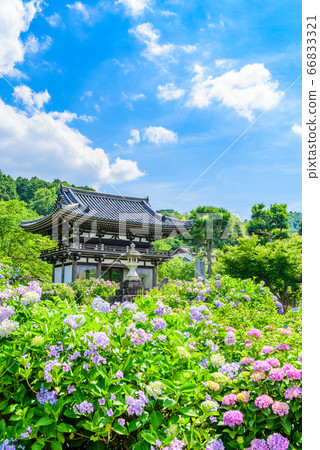 Kyoto Prefecture / Danshu Kannon Temple 66833321