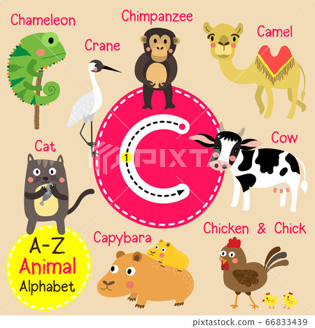 37+ 4000 english tajik tajik english vocabulary english edition info