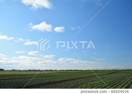 Autumn sky  66834016