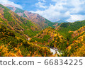 Beautiful colorful mountain in autumn season, pine tree forest in nature landscape 66834225
