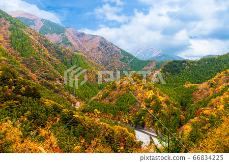 Beautiful colorful mountain in autumn season, pine tree forest in nature landscape 66834225