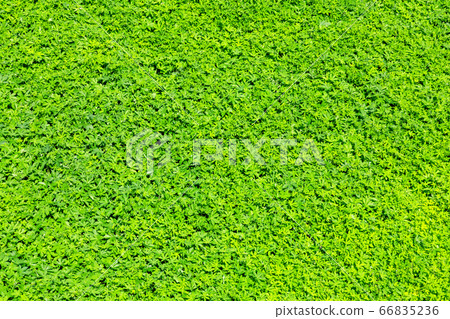 Pool that can be used as a background image Pool that can be used as a background image 66835236